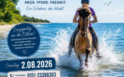 Schwimmritt an der Ostsee