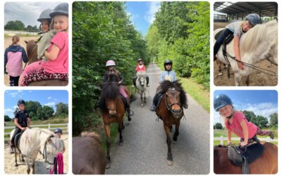 Ferienspaß auf dem Islandpferdehof Kranichtal