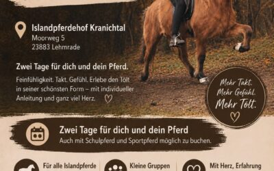 Tölt-Kurs mit Sarah – 15.–16. August 2026