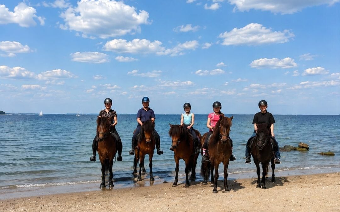 Schwimmritt an die Ostsee – Ein unvergesslicher Sommertag
