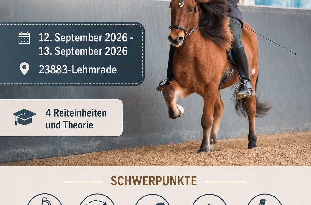 Allgemeiner Reitlehrgang mit Sarah