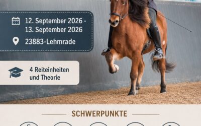 Allgemeiner Reitlehrgang mit Sarah