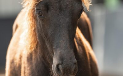 WhatsApp Image 2026-09-09 at 19.18.29(1)