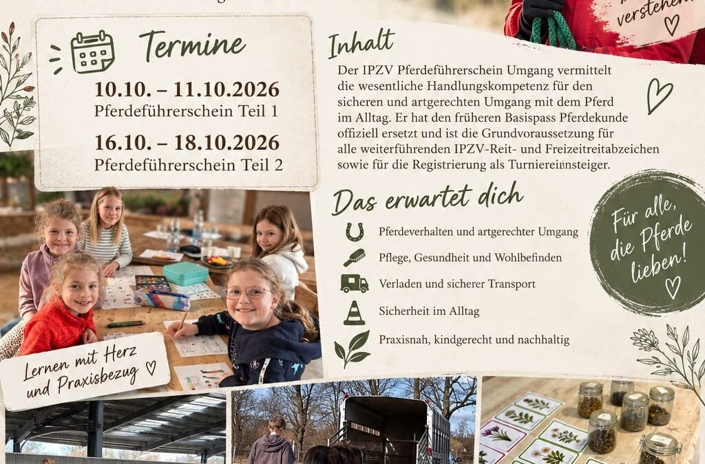 IPZV Pferdeführerschein Umgang – im Oktober auf Kranichtal