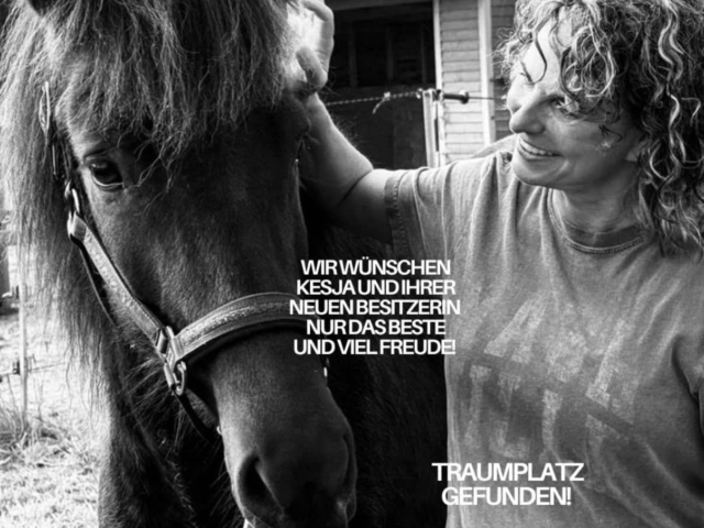 whatsapp image 2026 09 26 at 21.59.24 Lächelnde Frau streichelt dunkles Pferd vor einem Stall