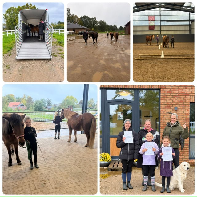 photo 2026 10 18 18 31 08 Kinder beim Pferdetraining mit Urkunden und Hund