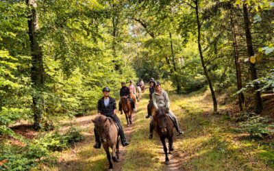 Traumhafter Herbstritt durchs Hellbachtal